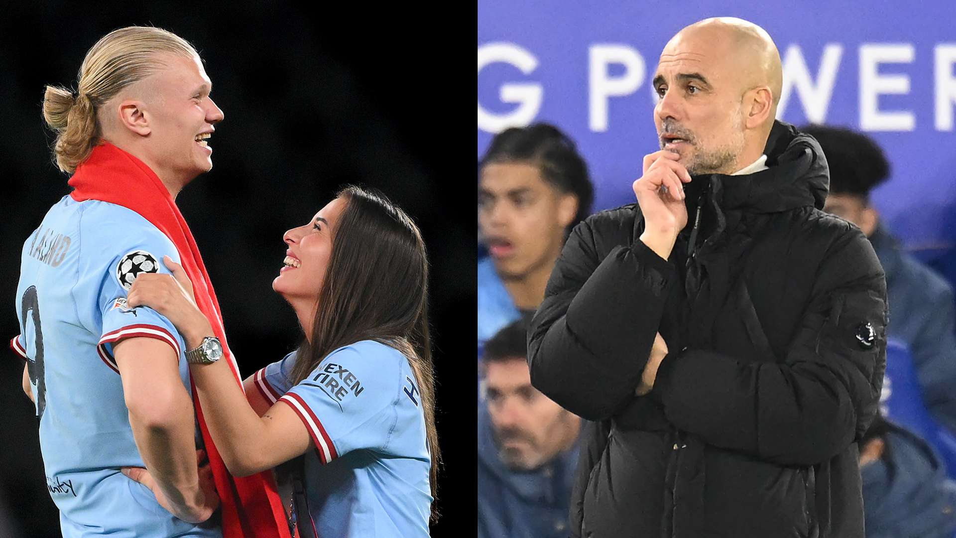 年轻新星的 年轻新星的